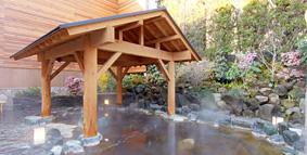 メニュー「高井戸天然温泉 美しの湯（日帰り入浴）」（基本情報