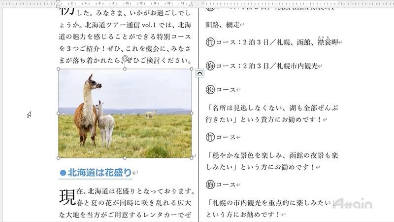 メニュー「Microsoft Office 2021の基本が習得できるDVDセット」（基本