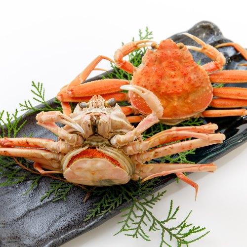 メニュー「【2025年12月・訳アリ特集】兵庫県香住産 訳ありセコガニ1kg